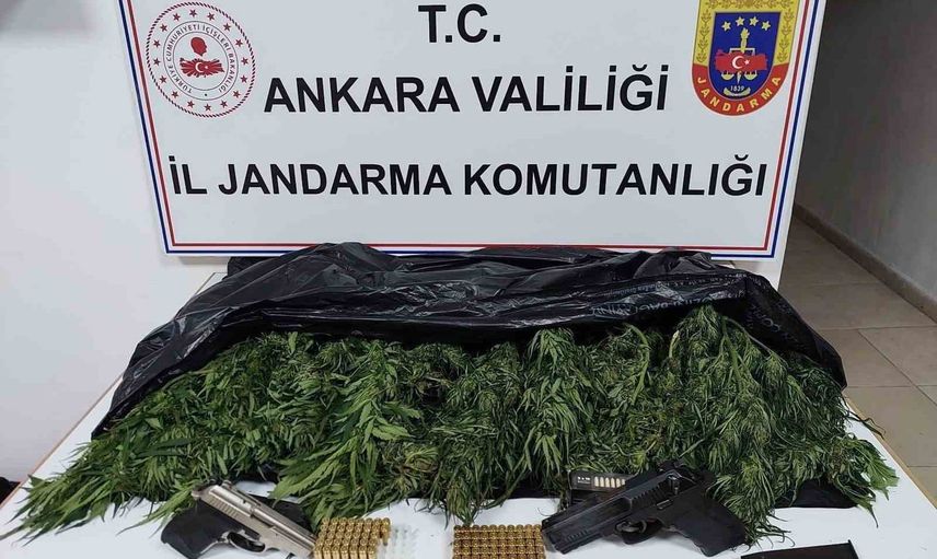 Elmadağ'da skunk operasyonu: 1 şüpheli gözaltında