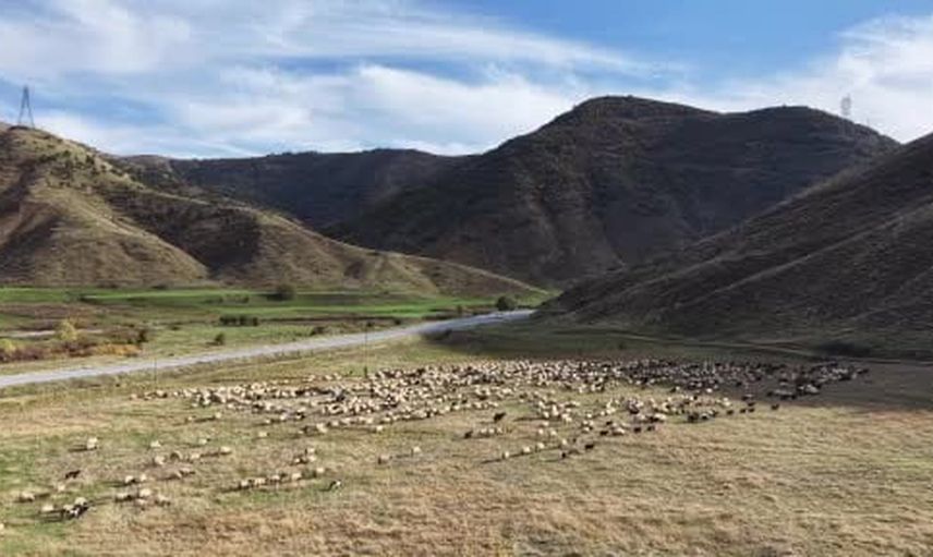 Yazın yaylalarda kışa doğru: göçerlerin Siirt'e dönüş mücadelesi