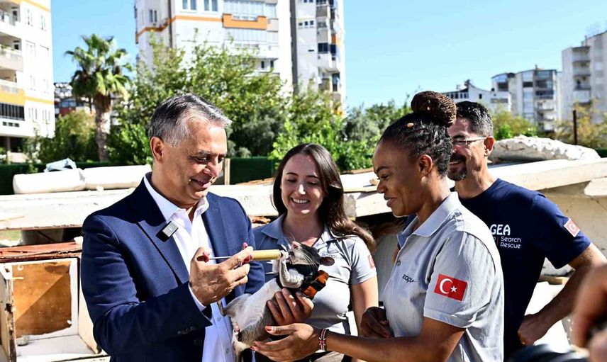Enkazın gözü: kahraman farelerle arama kurtarmada yeni dönem