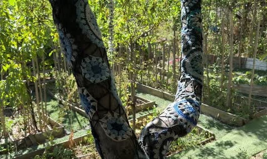 Örgüyle ağaçlara renk veren 72 yaşındaki kadın sokak hayvanlarını da destekliyor