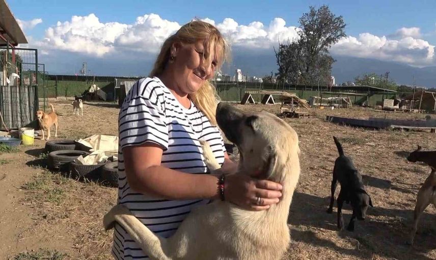 Gönüllü emek 4,5 dönümlük yaşam evine dönüştü: 130 köpek ve 17 kediye yuva