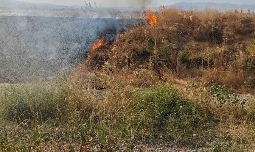 Güneytepe'de anız yangını itfaiyenin müdahalesiyle söndürüldü