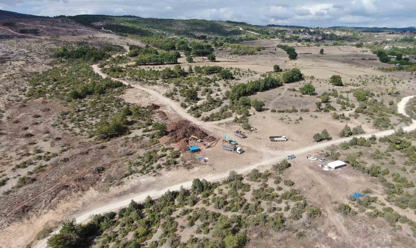 Kastamonu'da yanan orman enerjiye dönüşüyor: dikime hazırlık sürüyor