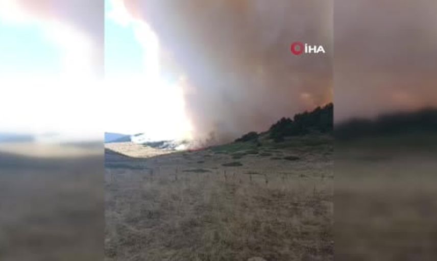 Sınırdaki ormanlık alanda çıkan yangına ekipler müdahale ediyor