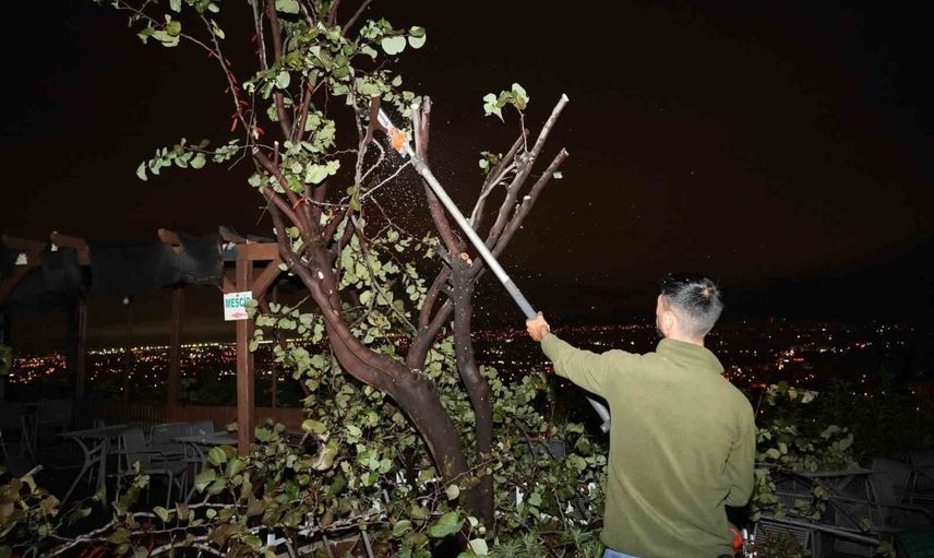 Kepez'te hortumun yaraları ekiplerin mesaisiyle sarılıyor