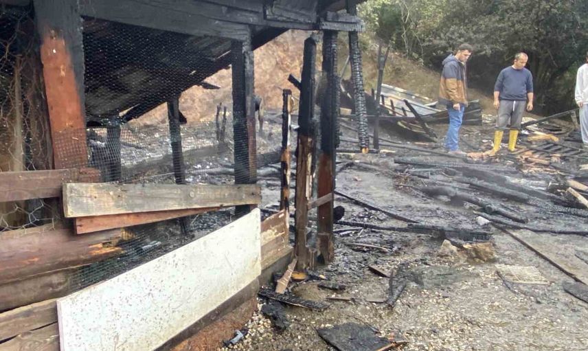 Ahır yangını Donanma Mahallesi'nde 34 hayvan telef oldu