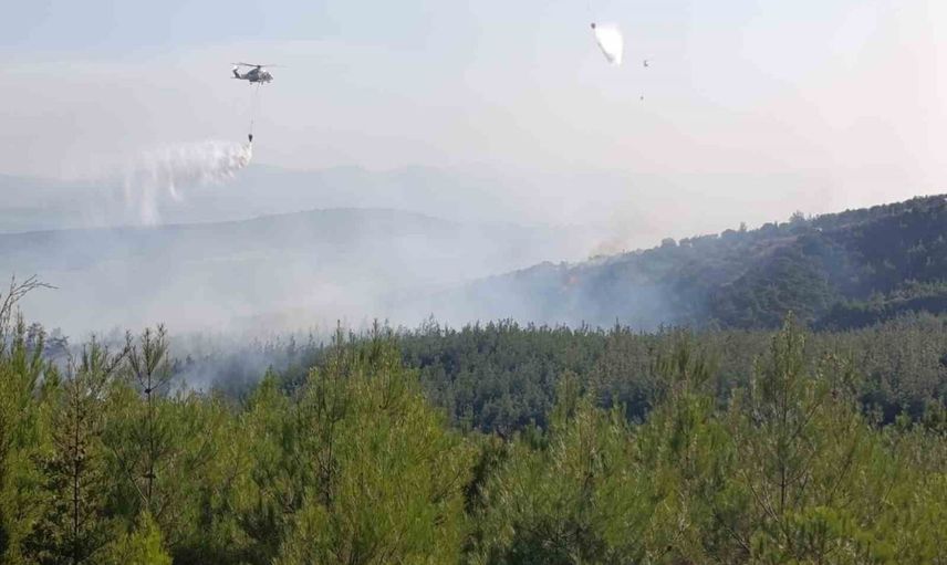 Rüzgârın yaydığı alevler durduruldu: Bayramiç yangını büyük ölçüde kontrol altında
