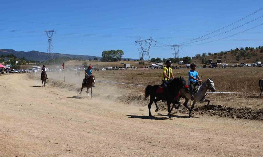 Gerede'de Rahvan at geleneği sürdü: 75 at sahne aldı