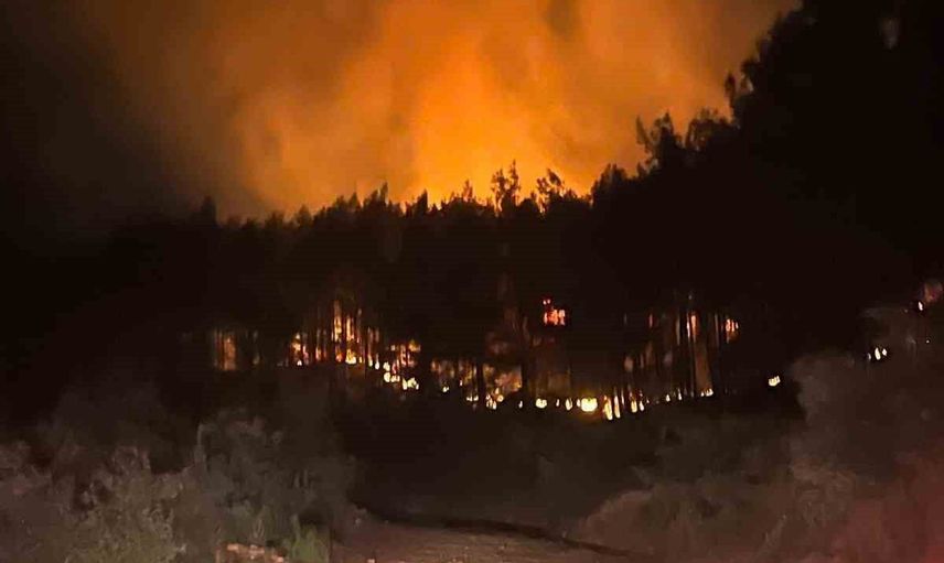 Alanya'daki orman yangını mahalle sakinleri ve ekiplerin müdahalesiyle kontrol altına alındı