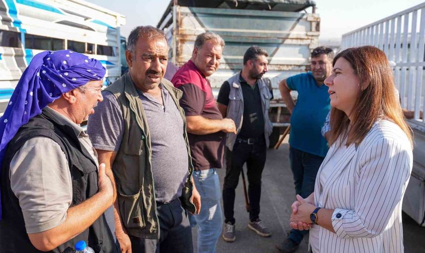 Kışa hazırlık için harekete geçildi; Buyuransu'da kalıcı hayvan borsası planı
