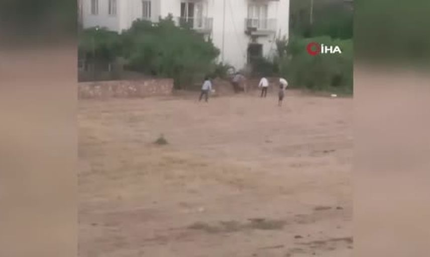 Batman’da kaçan inek mahalleyi ayağa kaldırdı, sahibi boynuz darbeleriyle yaralandı