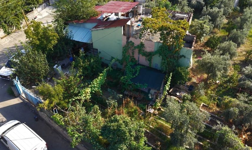 Mardin'de bir lokma lezzet hayatını değiştirdi: atalık tohumları 500 kişiye uzattı
