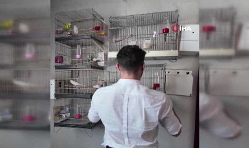 Gönüllü dönüş: Zeyn ailesinin vatanına veda mektubu ve bakanın mesajı