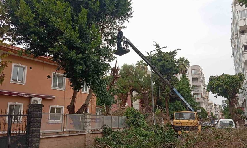 Akdeniz'de parklar yenileniyor, mahallelerde aydınlatma ve oyun alanlarına öncelik verildi