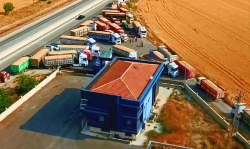 Konya'da tarladan depoya: TMO yaklaşık 2 milyon ton hububat alımını tamamladı