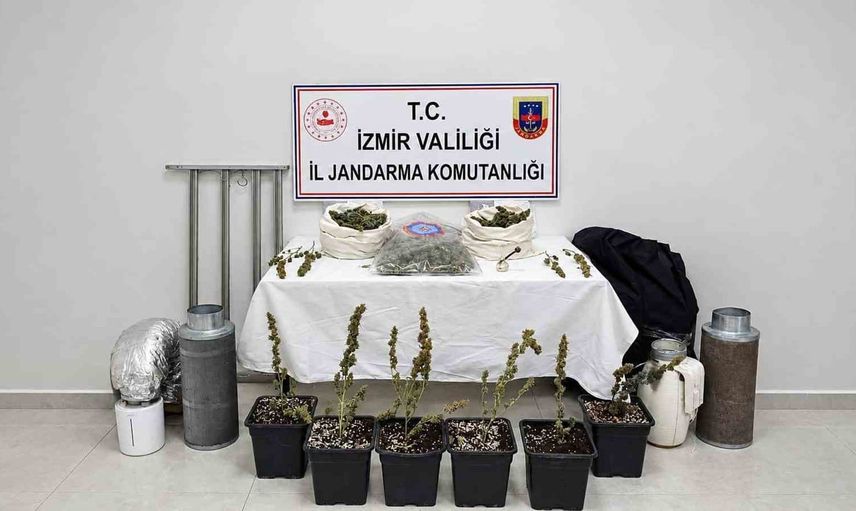 Saksıda iklimlendirme düzeniyle skunk yetiştiren zanlı İzmir'de yakalandı