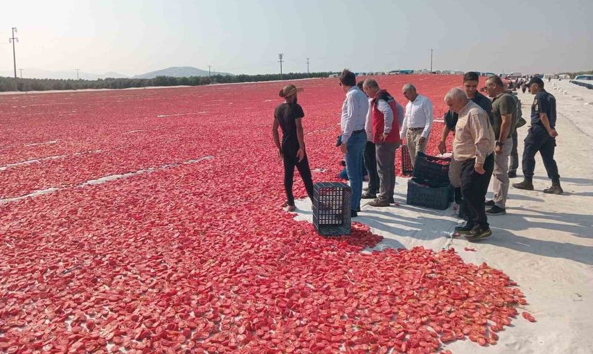 Saruhanlı'dan 1.500 ton kurutmalık domates: ihracat ilçe ekonomisini güçlendiriyor