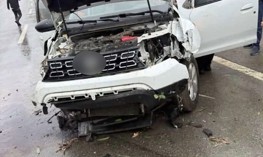 Bingöl'de kontrolden çıkan otomobil tabelaya ve ağaca çarptı