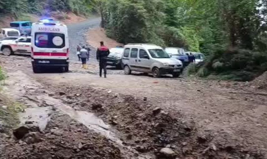 Sapanca'da kestane toplamak için girdiği ormanda 66 yaşındaki adam ölü bulundu