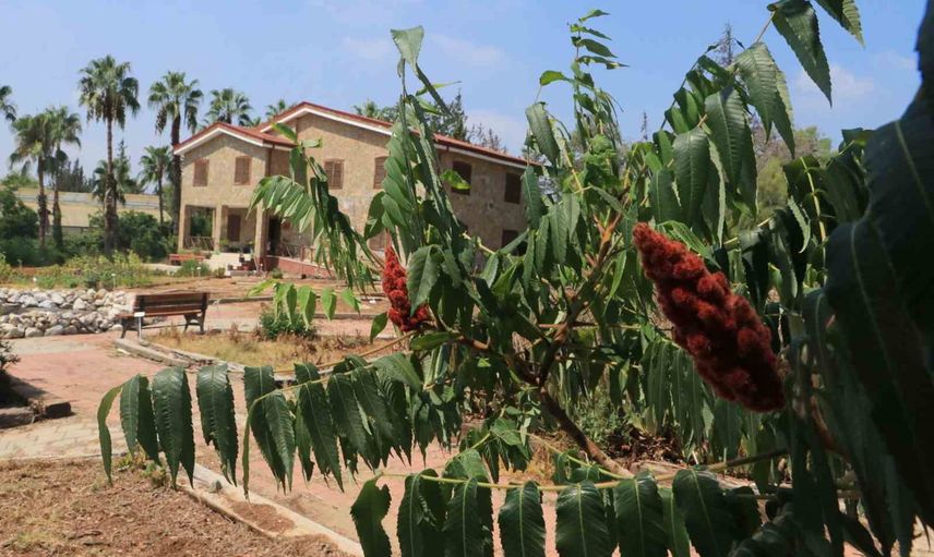 çukurova'da tıptan aromaya yüzlerce bitkinin korunduğu botanik bahçe