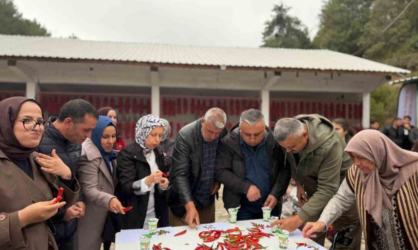 Çukurören biber festivalinde acı biber yeme ve biber dizme yarışları ilgi çekti