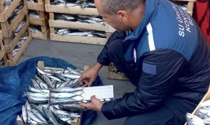Mavi vatanın bekçileri: Mersin'de kaçak avcılığa sıkı denetim