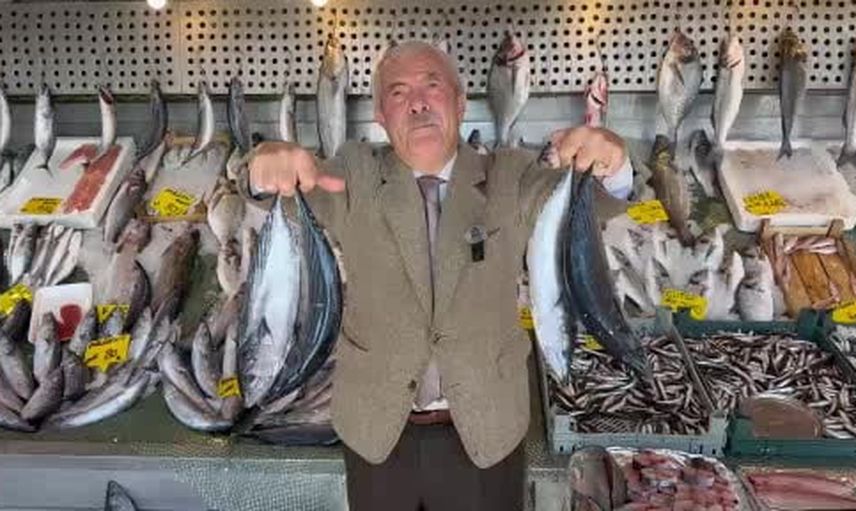 Palamut bolluğu 25 yıl sonra yeniden sofralara dönüşüyor