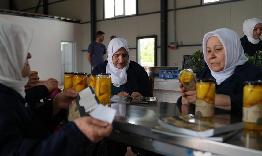 gürsu ovası kadın emeğiyle yeni tatlara kavuştu
