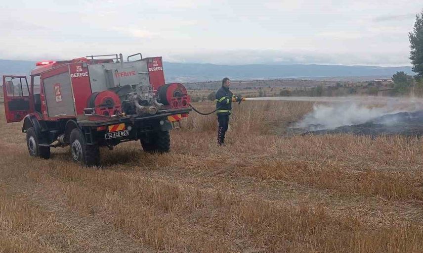 Yüksek gerilim tellerine çarpan kuş anız yangınına yol açtı