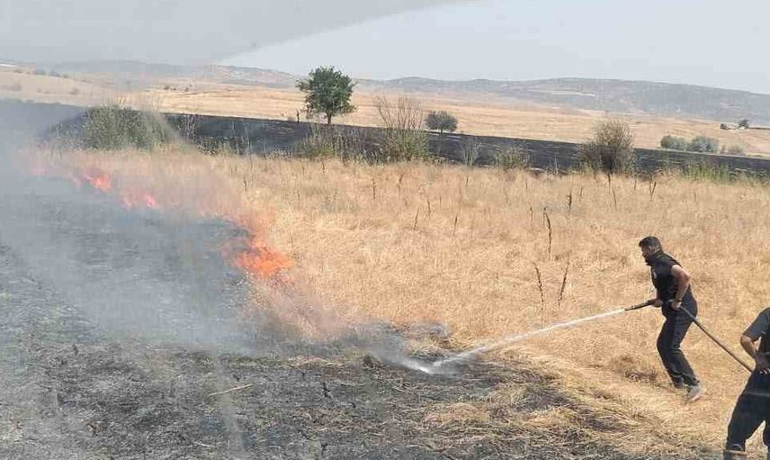 Bingöl kırsalında söndürülen yangın 2 bin dönümü etkiledi