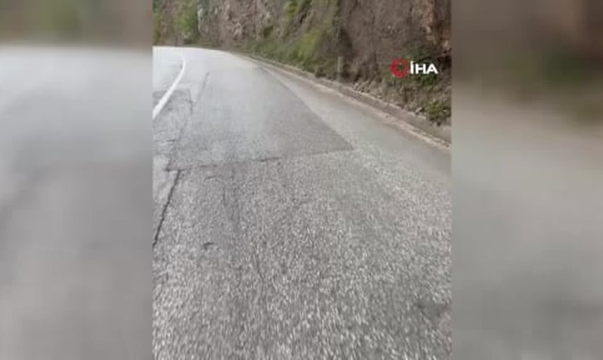 Patenle Avrupa'dan Ankara'ya: rekor hedefi umuda dönüştü