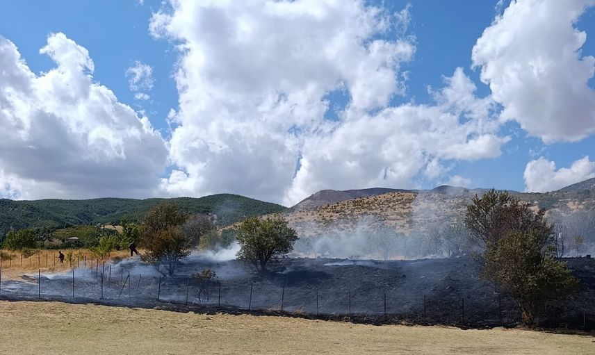 Hizan'da kayalar mezrasında örtü yangını, söndürme çalışmaları devam ediyor