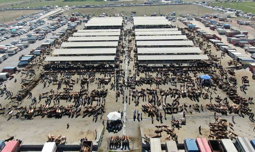 Şarkışla hayvan pazarı şap riski nedeniyle geçici olarak kapatıldı