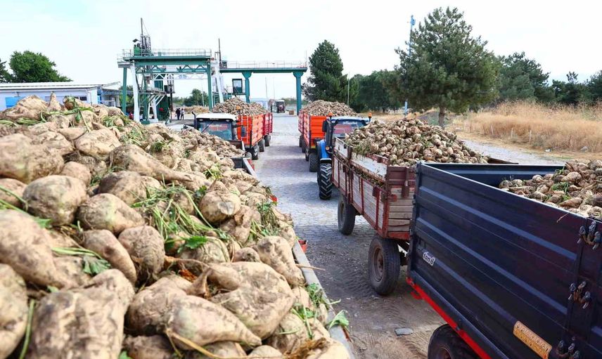 Elazığ şeker fabrikası yeni sezonu 240 bin ton pancar hedefiyle başlattı