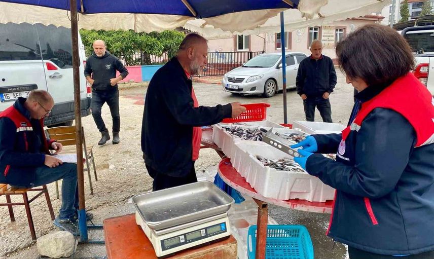 Dazkırı'da balık satış noktalarında gıda güvenliği denetimi
