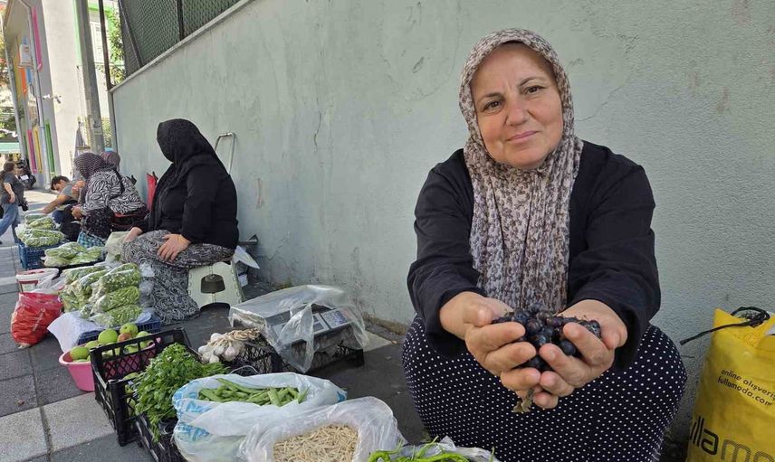 Samsun'da küçük bamya büyük kazanç sağlıyor