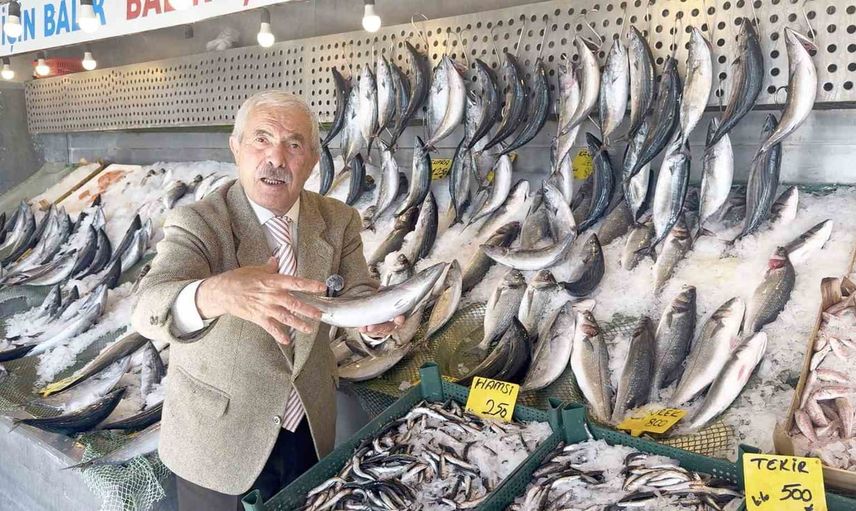 Palamut bolluğu tezgahlara yansıdı: kilosu 100 TL'ye kadar geriledi