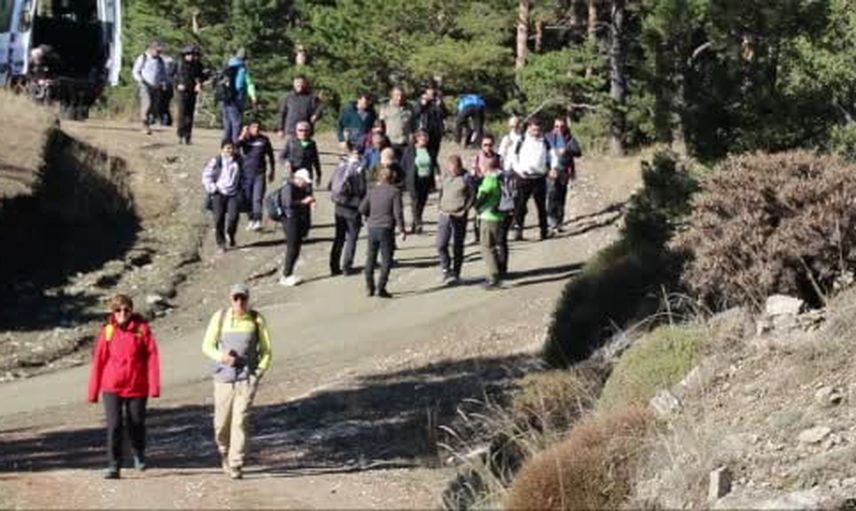 Sarıçamlar arasında 15 kilometre: mantar, mola ve dayanışma hikayesi