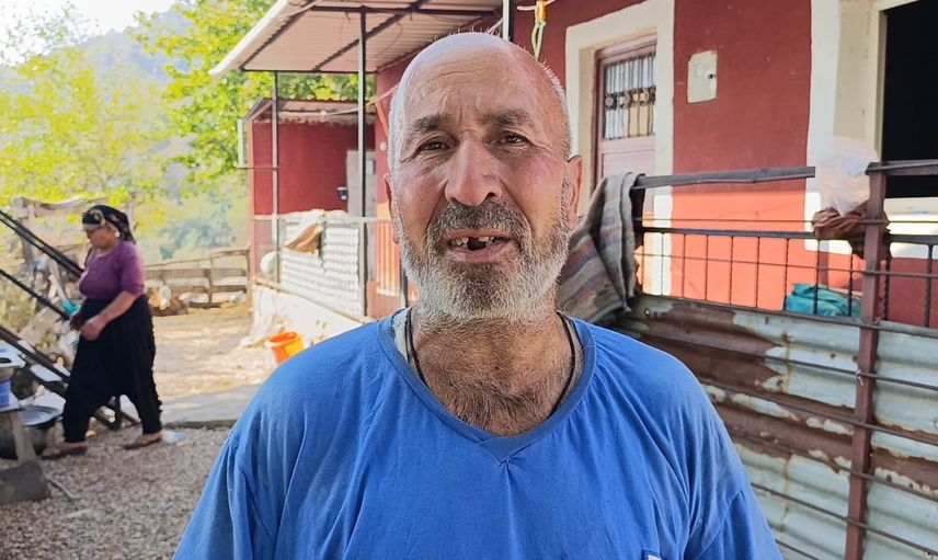 Yeşilden küle: Kozan ormanı alevlerle değişti