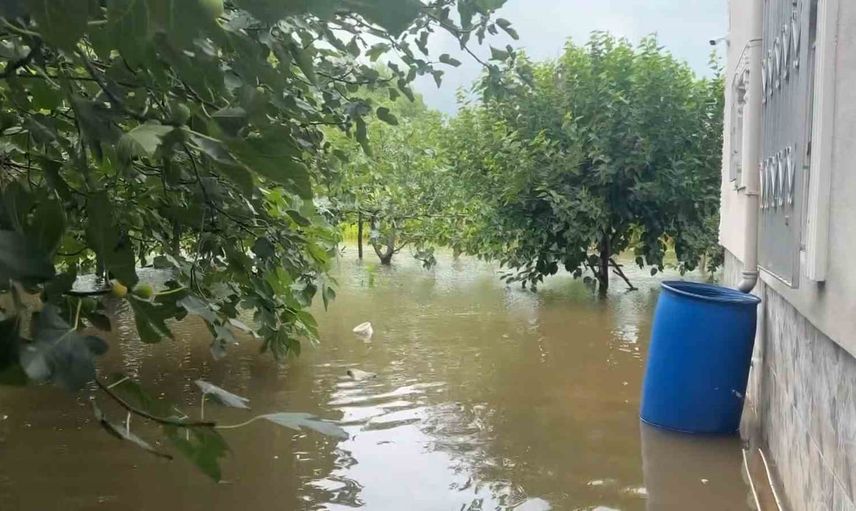 Çarşamba ovası yeniden suyla boğuşuyor