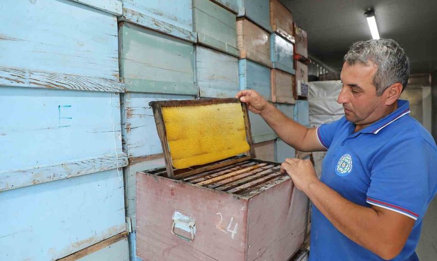 Petekleri -30 derecede şoklayan proje arıcıların yükünü hafifletti