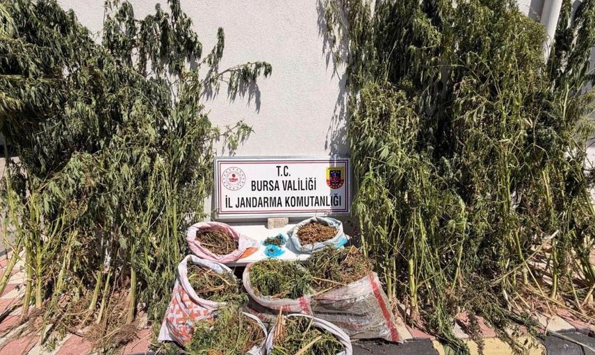 Karacabey'de jandarmadan uyuşturucuya ağır darbe: 22 kilo 675 gram esrar ele geçirildi