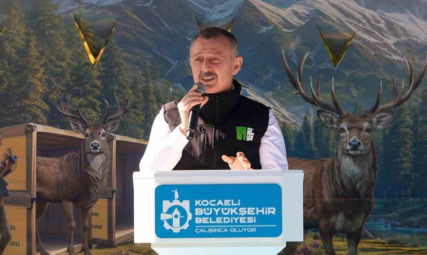 Ormanya’dan doğaya: Kuzuyayla’ya dokuz kızıl geyik daha salındı
