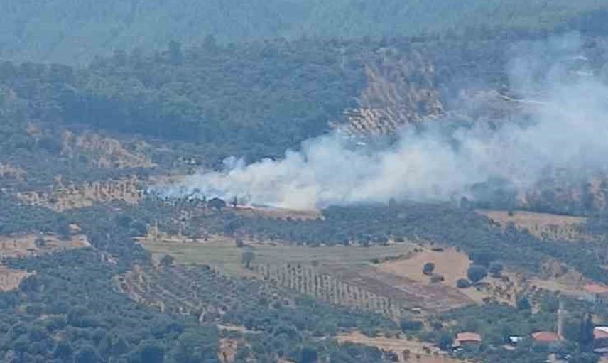 Dalaman'da Kayadibi Mahallesi'nde orman yangını kontrol altına alındı