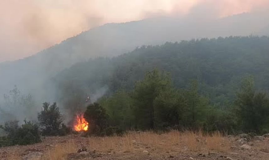 Kozan'da orman yangını sınırı zorlarken ekipler yerleşimi korudu