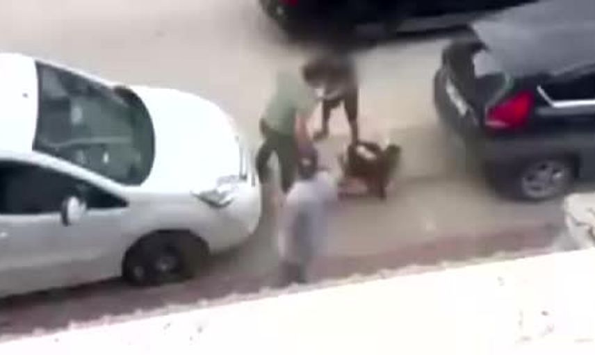 Küçük çocuk annesini korumak için sokakta müdahale etti