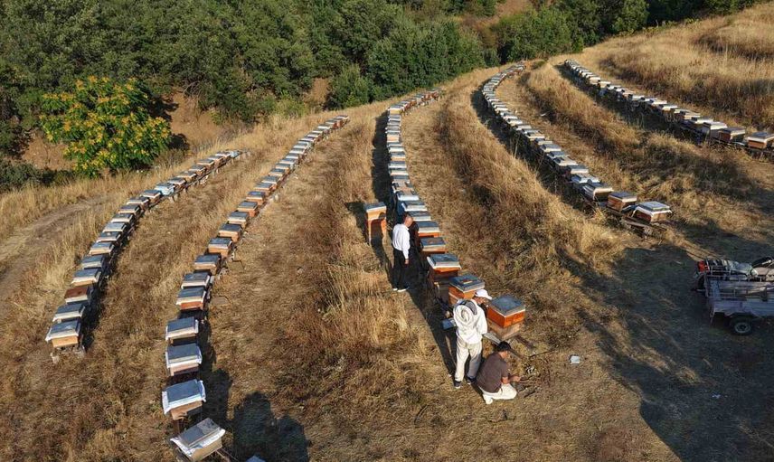 Elazığ'da yağış bereketi bal üretimine yüzde 20 yansıdı