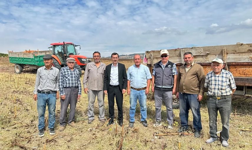 Yenipazar'da 90 bin dönümlük ayçiçeği tarlalarında hasat hareketi