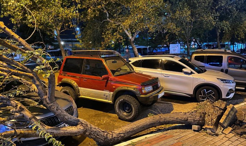 Bandırma'da şiddetli rüzgâr iğde ağacını kökünden sökerek park halindeki araca devirdi