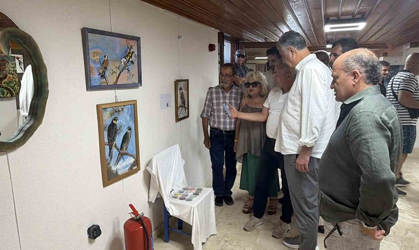 Kaz Dağları'ndan ilhamla kuşların dili sanatla buluştu